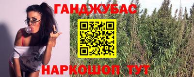 спайс Нальчик