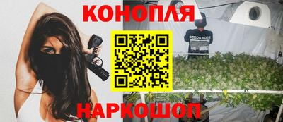 крисы Апшеронск