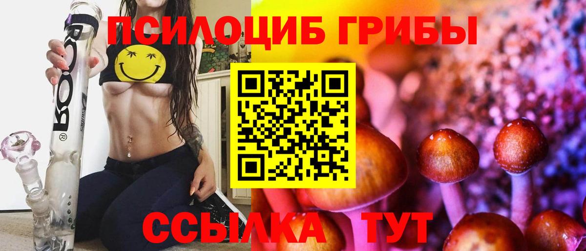 продажа наркотиков  Галлюциногенные грибы мицелий  Джанкой  Галлюциногенные грибы прущие грибы 